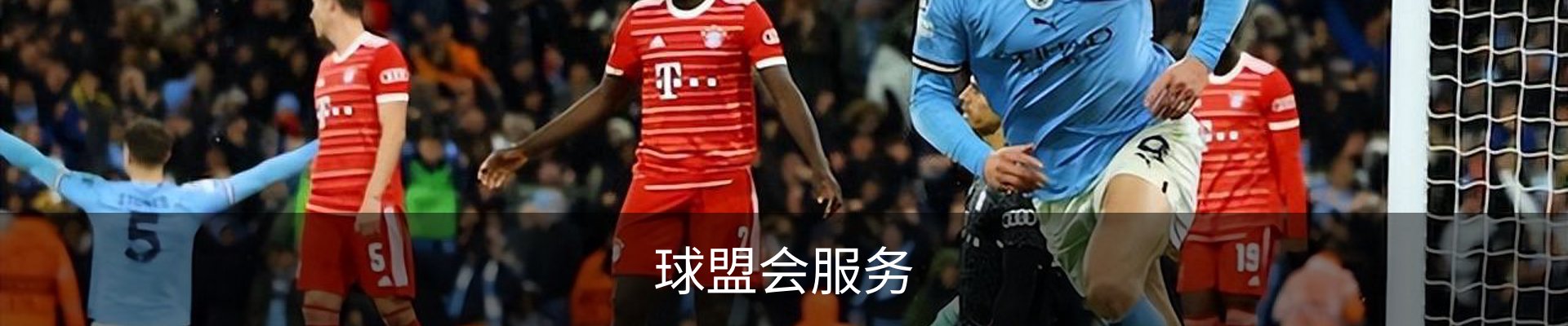 球盟会服务