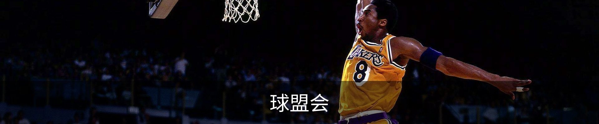 球盟会